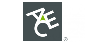 Ace Seguros