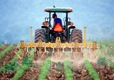Seguro Agrícula / Rural